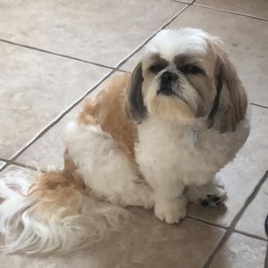 Meet your Posher, Julia